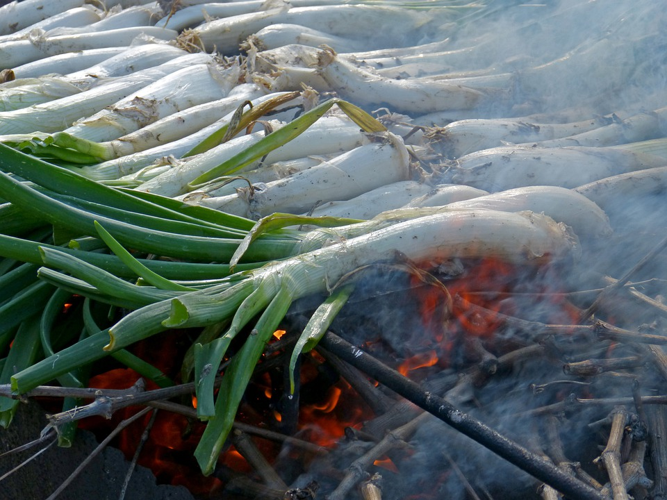 Spring Onions Being Prepared Over an Open Fire