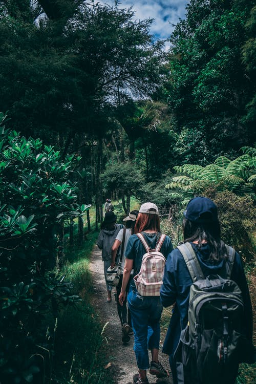 A group of hikers wearing backpacks walking on a hiking trail 