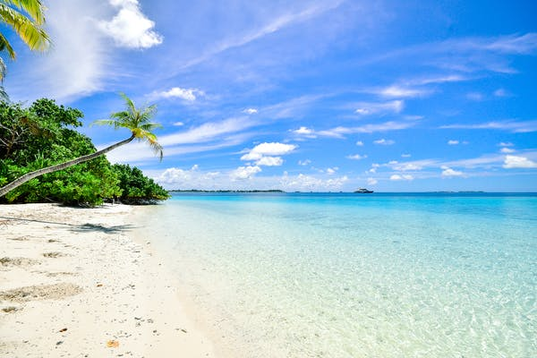 a beach