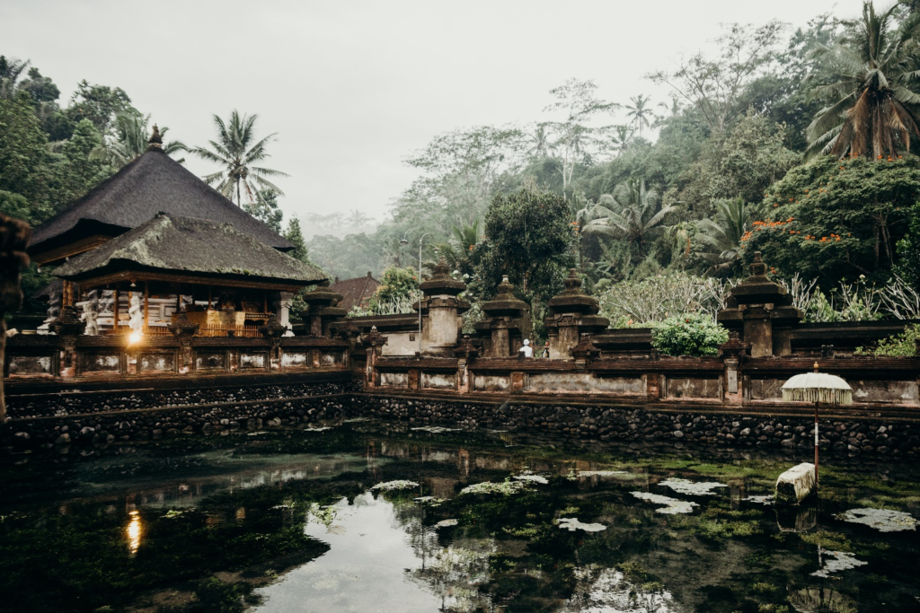 a shot of a lush location in Bali, Indonesia