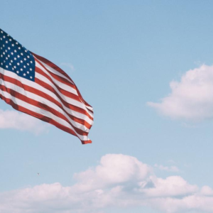 Irina Bukatik's photography of the USA flag